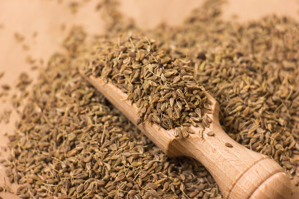 خرید عمدۀ انیسون از بازرگانی انیسون