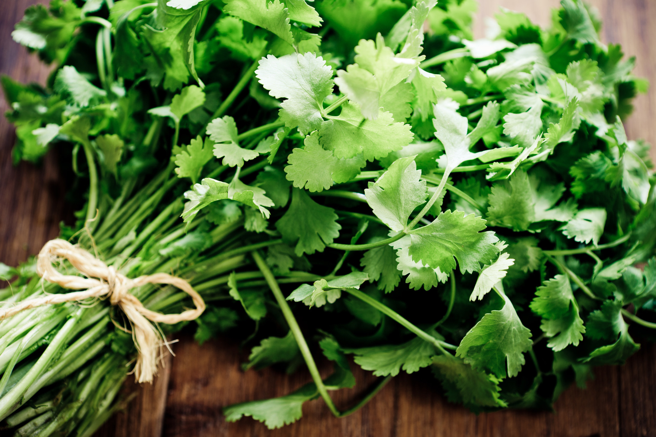قیمت عمدۀ گشنیز