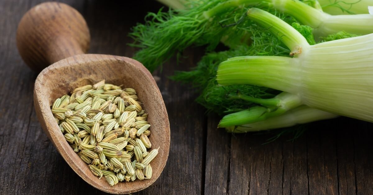 ویژگی های رازیانۀ مرغوب