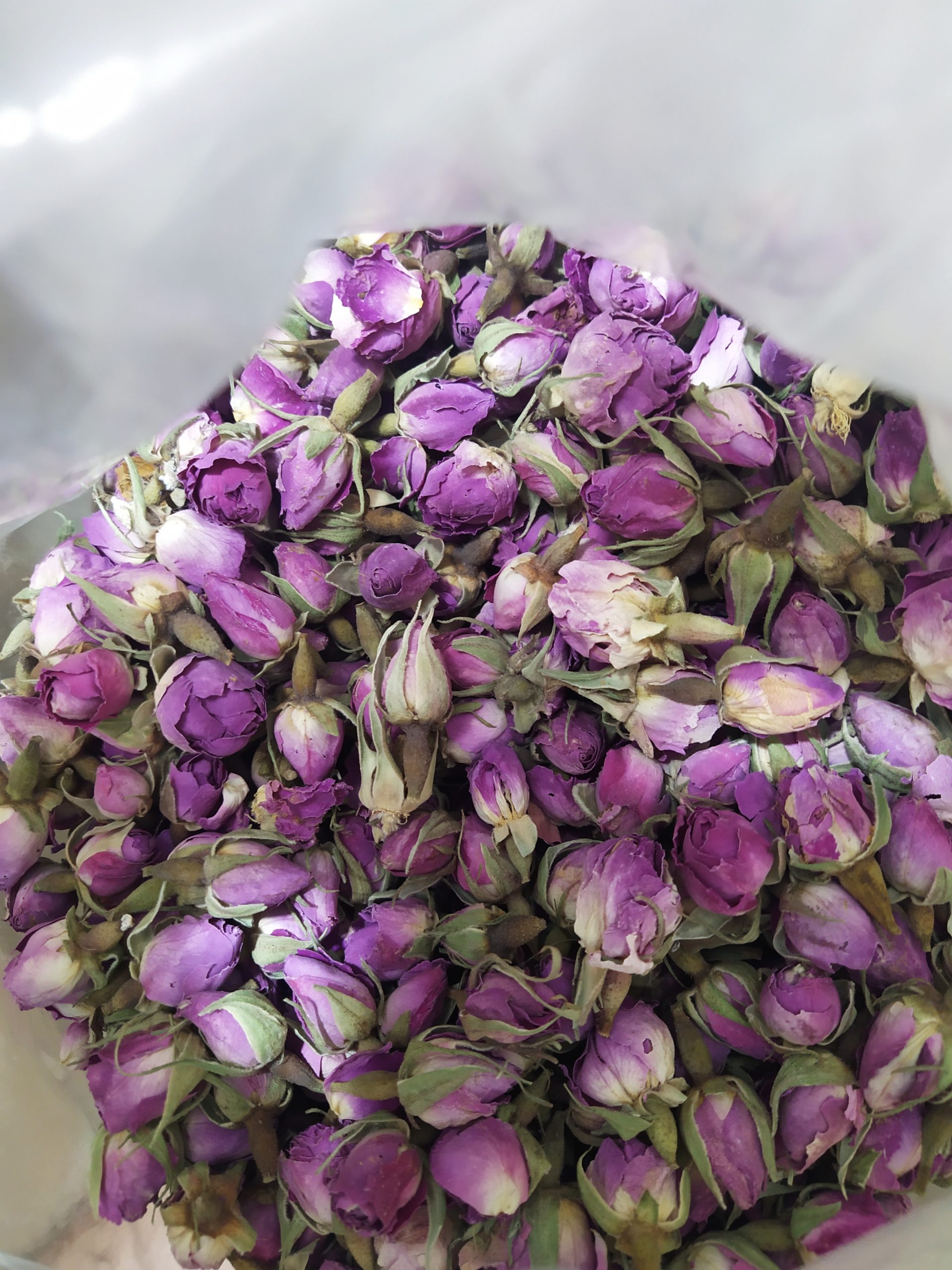 خرید عمدۀ غنچۀ گل محمدی